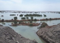 پخش سیلاب در 3هزار و 700هکتار از اراضی نیمروز