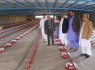 صدور ۱۲۶۹ فقره موافقت اصولی برای ساخت مرغداری در سیستان و بلوچستان