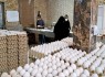 تولید تخممرغ در زاهدان از مرز ۵۰۰ تن گذشت تولید تخممرغ در زاهدان از مرز ۵۰۰ تن گذشت