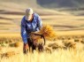 خرید ۳۵ هزار تن گندم از کشاورزان سیستانوبلوچستان خرید ۳۵ هزار تن گندم از کشاورزان سیستانوبلوچستان